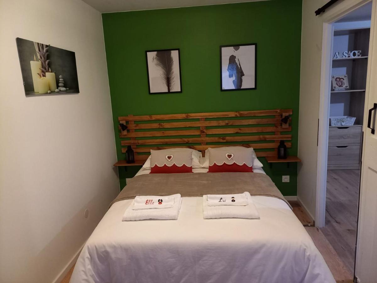 Le Passage Gite Cocooning A Colmar Centre Touristique Exterior foto